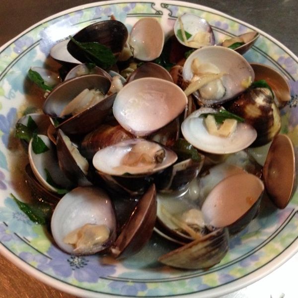 Tokyo Lotus一起做