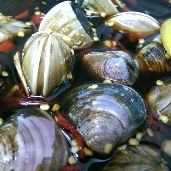 醃蛤蜊：Yihua Yang 一起做