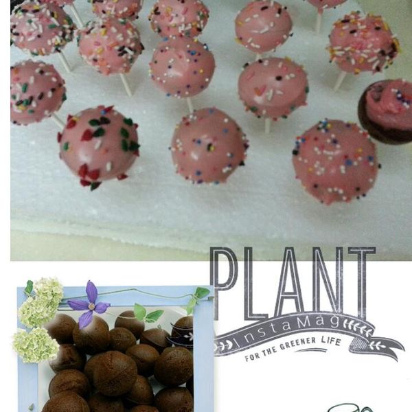 棒棒糖蛋糕 (Cake Pops)：Yu-ting Shen 一起做