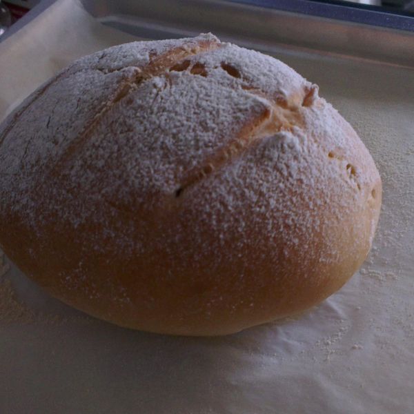 undefined：Fang-Yi Chou 一起做