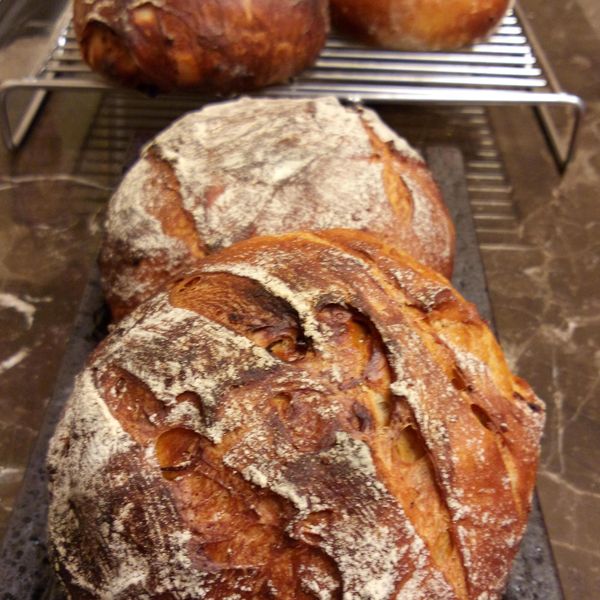 陽光雜糧大哈斯 : Lilian Lee一起做