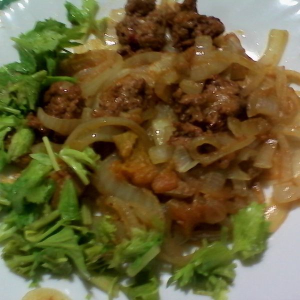 (簡易快速)照燒洋蔥炒肉片 : kitty一起做