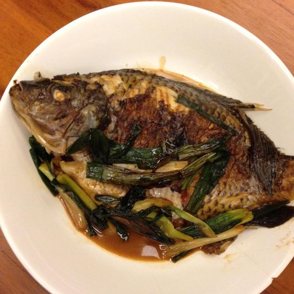 undefined：Nora 一起做