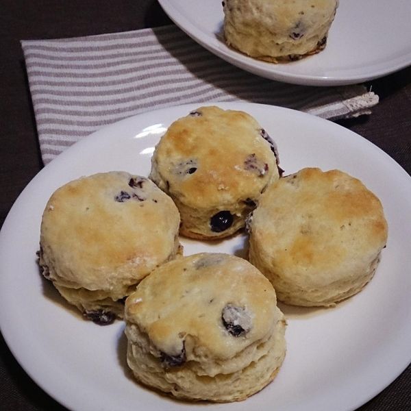 優格司康 : Shelly一起做