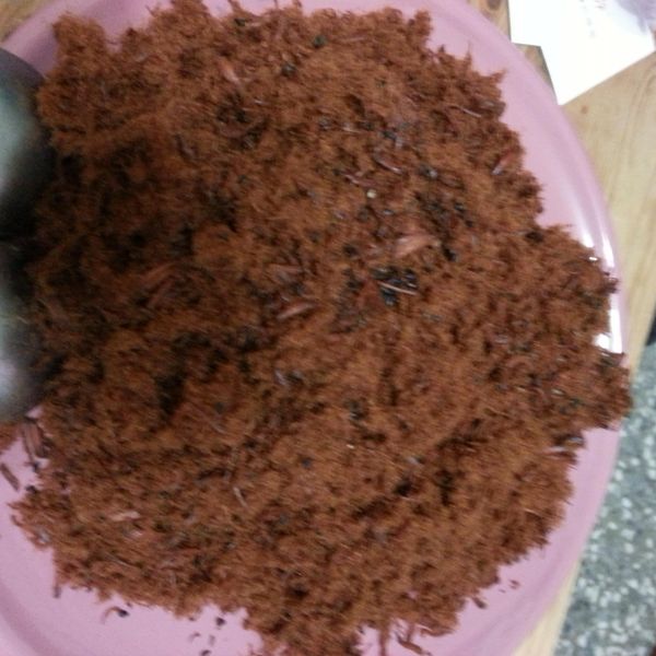 自製健康肉鬆[Panasonic製麵包機]：伊小薇 一起做