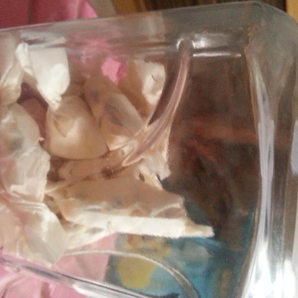 蔓越莓杏仁牛軋糖 : pilk一起做