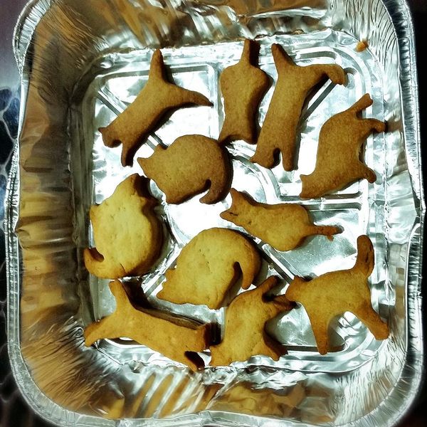 undefined：叛逆大人 一起做