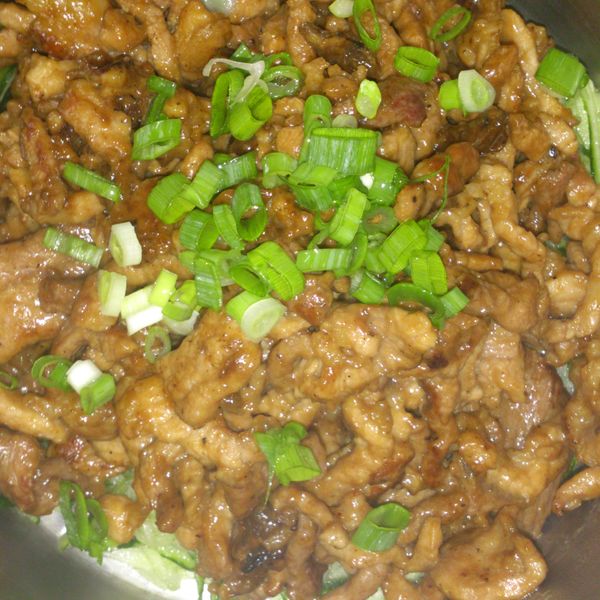 [健康廚房10分鐘出年菜]京醬豚肉 : Gery Gerry一起做