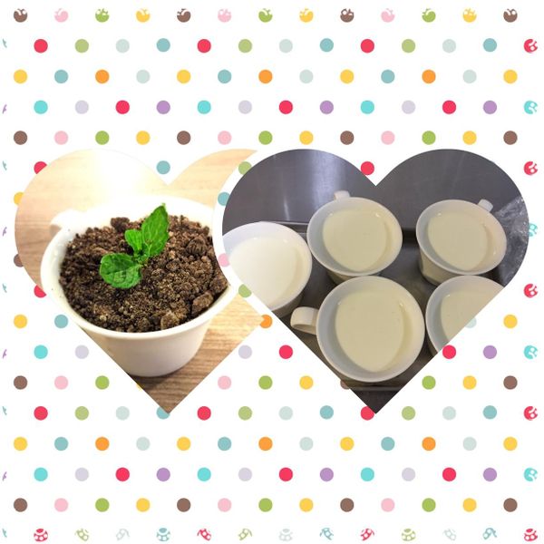 鮮果奶酪：張硯茹 一起做