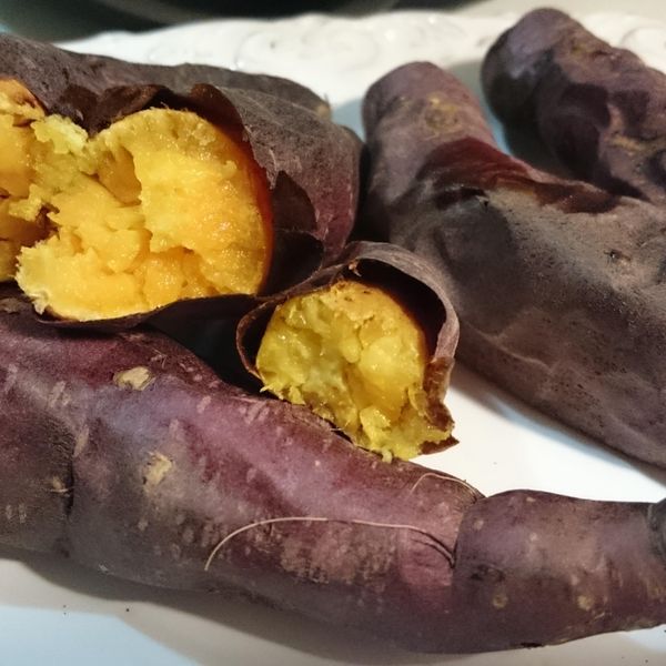 undefined：530molly 一起做