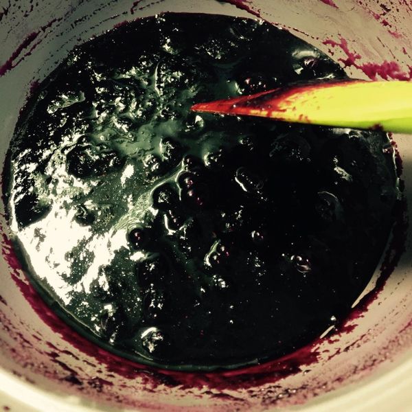 藍莓果醬DIY：Sharon Wu 一起做