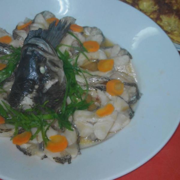 孔雀開屏魚 : 高琇瑋一起做