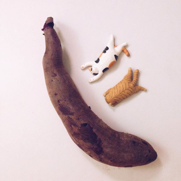 超簡單!電鍋烤地瓜 : Bee一起做