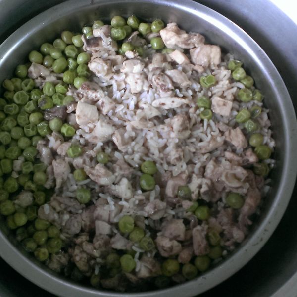 undefined：Sharpa 一起做