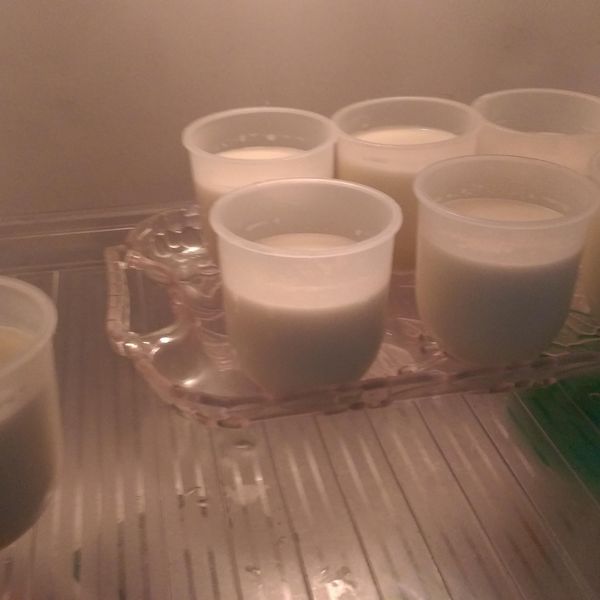 【動手做料理】雞蛋牛奶布丁：張加分 一起做