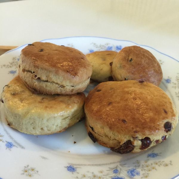 小小烤箱立大功：英式蔓越莓司康：Lin Chih Hui 一起做