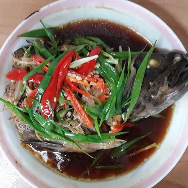 年菜-清蒸石斑【HOLA幸福食堂】 : 翁寧妤一起做