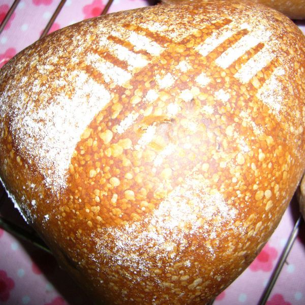 100%純鮮奶黑糖桂圓麵包 （Lie 兔 Food ）：櫻桃丸子 一起做