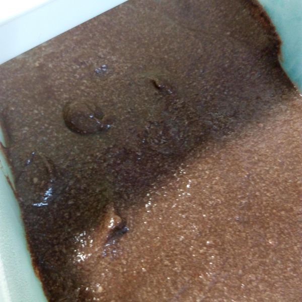 undefined：林千卉 一起做