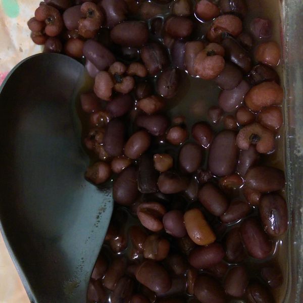 黑糖紅豆薏仁湯：~※荔蒂貓※~ 一起做