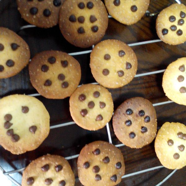 巧克力豆餅乾-小烤箱【烘焙展食譜募集】：芸芸欸 一起做