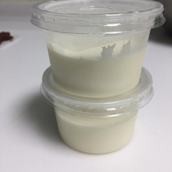 鮮奶酪 : 詹大碗一起做