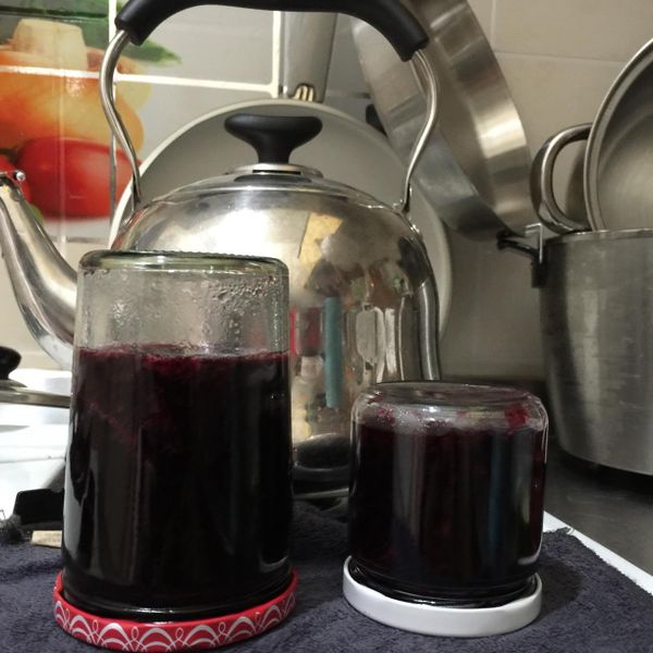 自製的果醬最安心 - 藍莓果醬(冰糖版)：Jane Hsieh 一起做