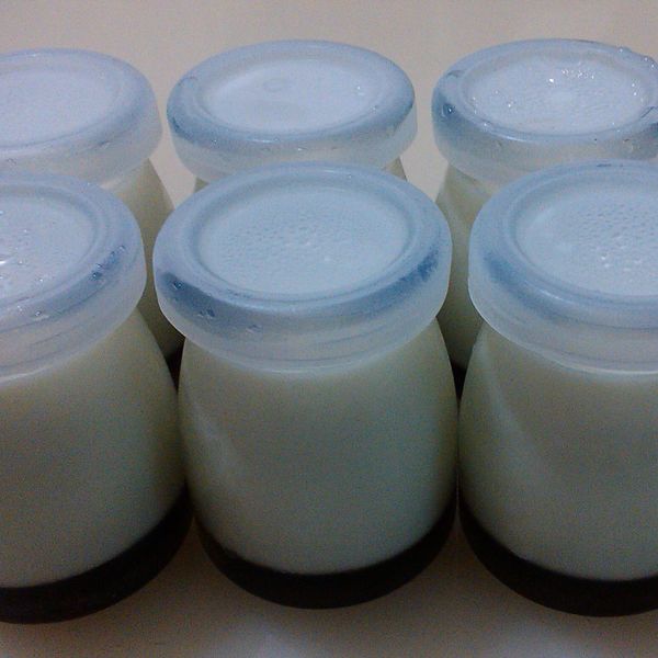 鮮奶酪 : 陳雅惠一起做