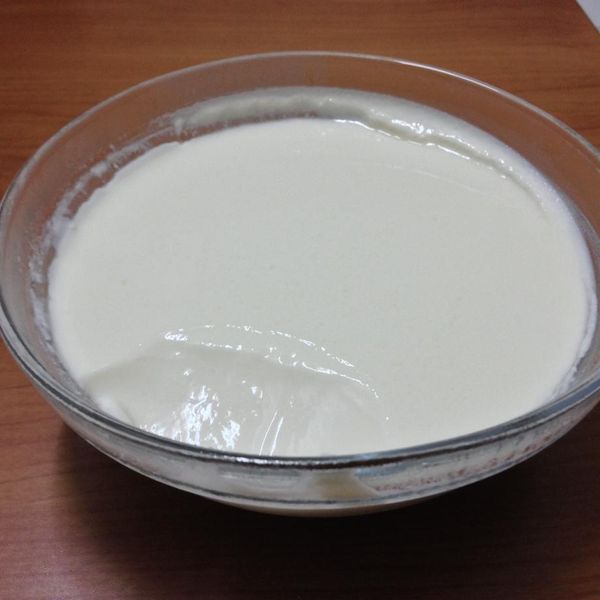 自製優格 : 雪玲一起做