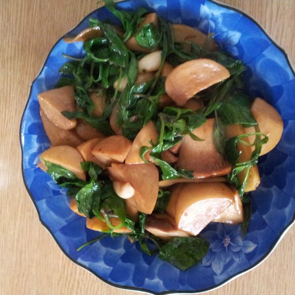 三杯杏鮑菇 : Chihling Lin一起做