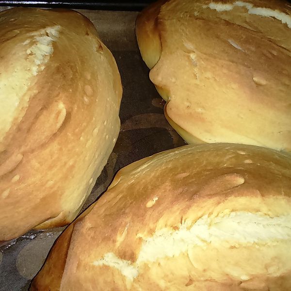 羅宋麵包 : 施嘉慧一起做