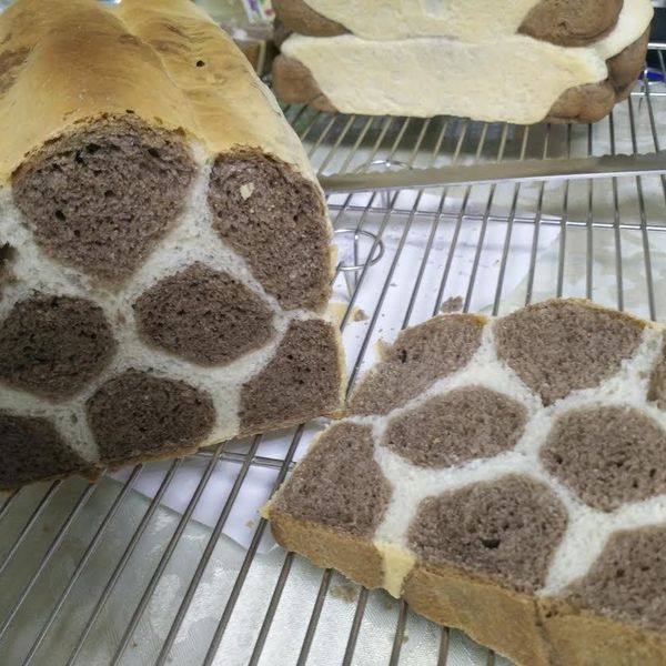 undefined：Alan 一起做