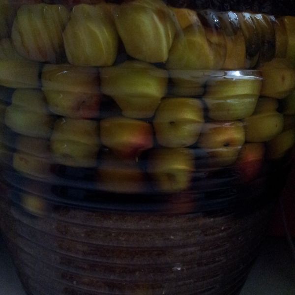 自釀梅酒(尼的廚房) : Mina Liao一起做