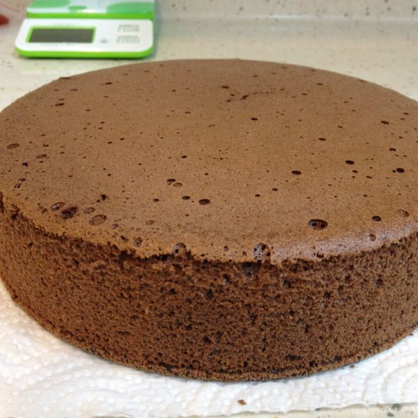 小朋友的最愛-巧克力戚風蛋糕 : Ailylin一起做