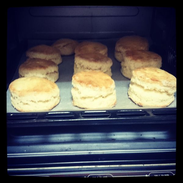 優格司康 : mandy一起做