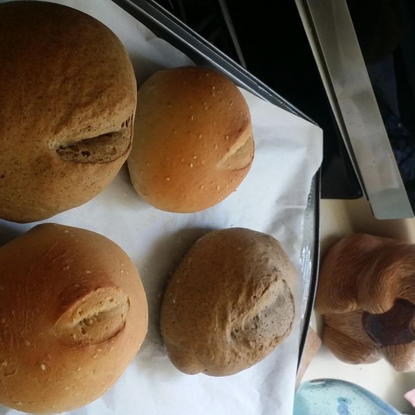 歐式芝麻麵包：Rita Yang 一起做