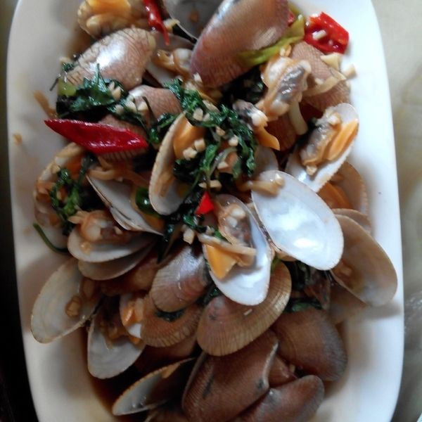 塔香海瓜子：Carrie Tsai 一起做