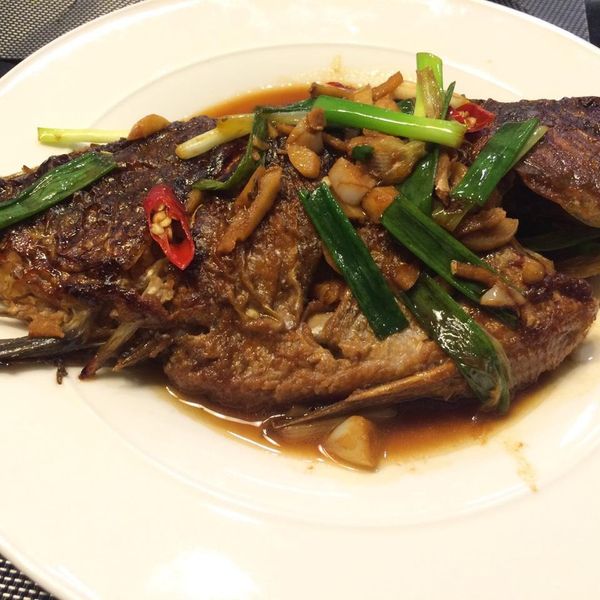 紅燒吳郭魚 : Frances Pan一起做