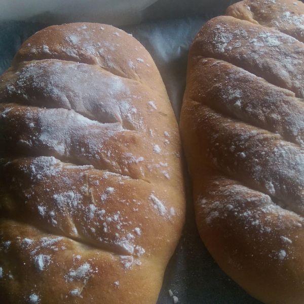 undefined：依納爵 一起做