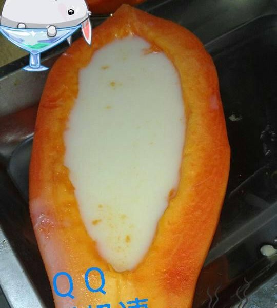 木瓜牛奶凍：李技梅 一起做