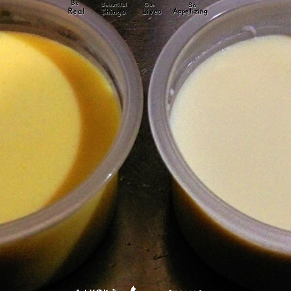 牛奶布丁：陳胖丁 一起做