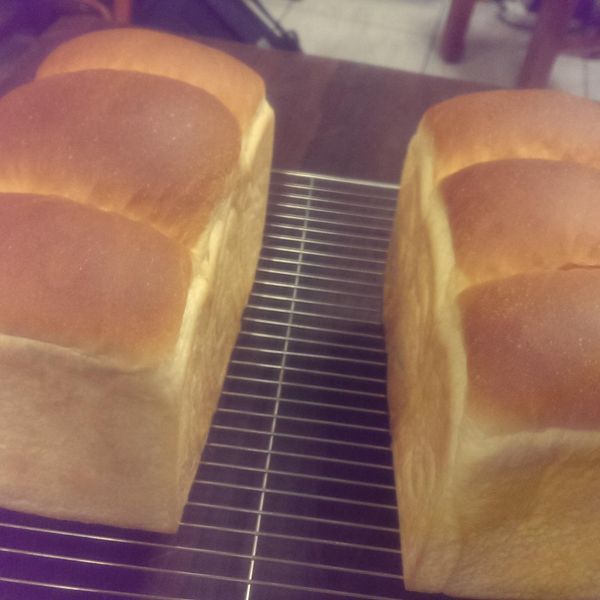 凱薩琳淚流吐司：鄭羽舒 一起做