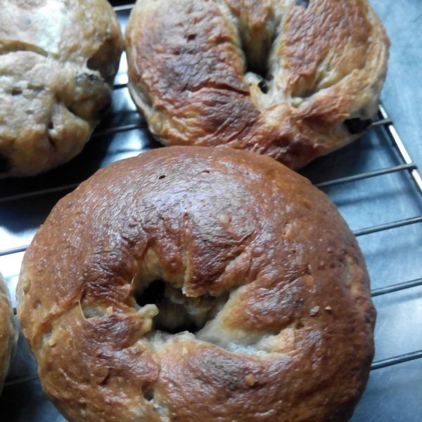 自家製貝果Bagel [簡易食譜] : 高櫻芬一起做