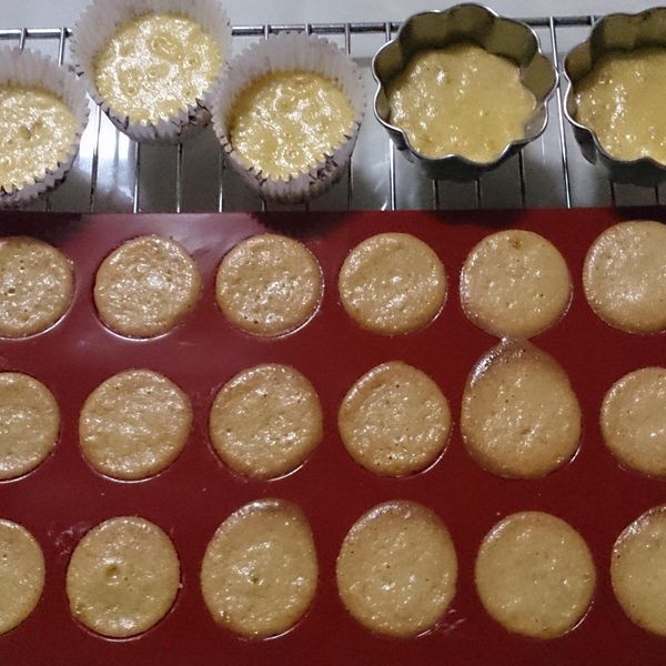 黃金乳酪球 : Alka Chang一起做