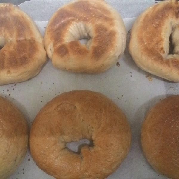 胖嘟嘟的藍莓貝果：Sabrina Lin 一起做