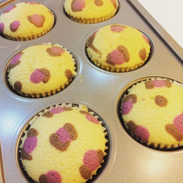 豹紋杯子蛋糕 : An Yu  Chung一起做