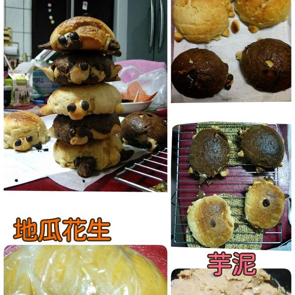 105T 麵包機-烏龜菠蘿麵包❤!!!：喵仔 一起做