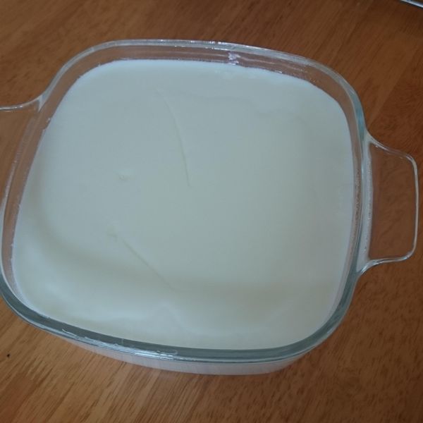 ▊簡易優格《電鍋版》▊：Nancy Liu 一起做