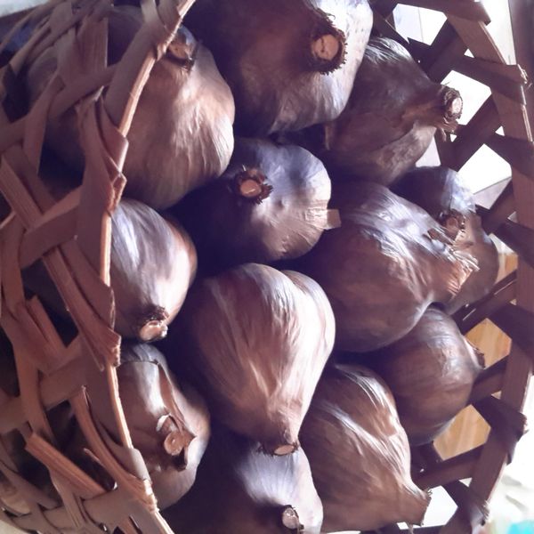 かにの黑蒜頭(black garlic) : 黃詠茹一起做