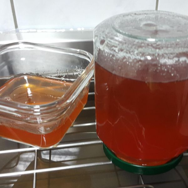 天然蘋果膠：駱逸凡 一起做